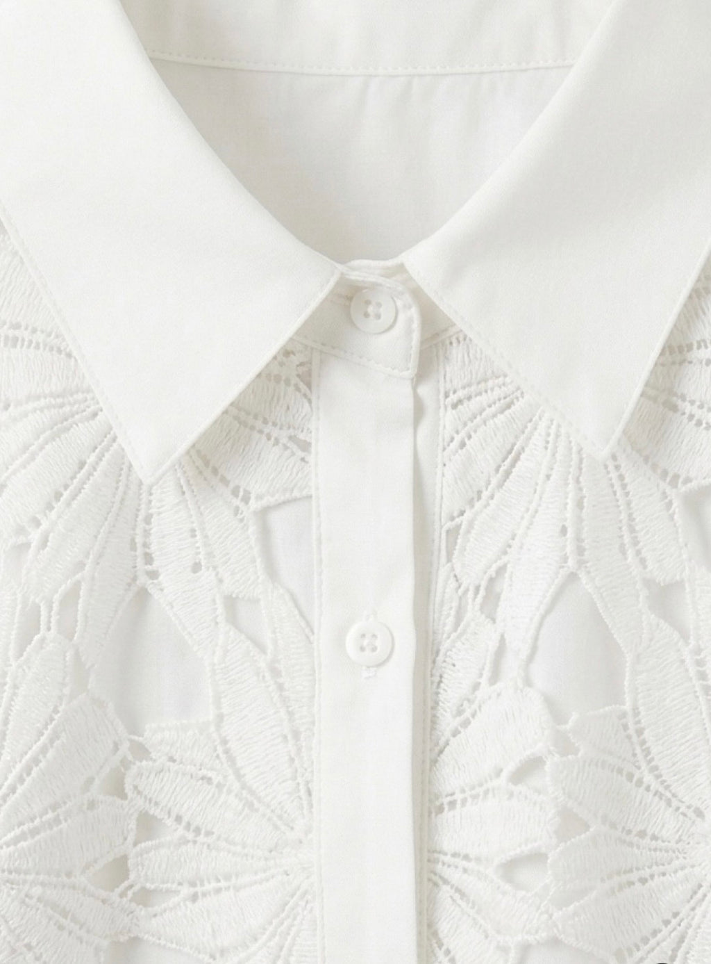 Chemise Alba - Dentelle guipure