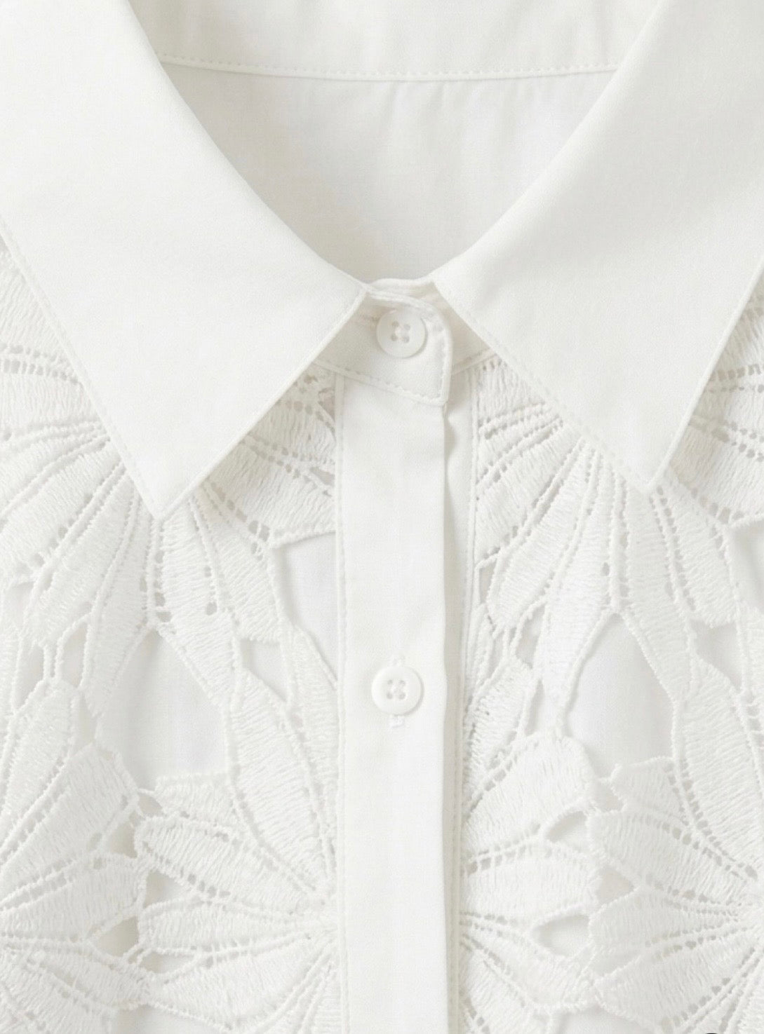 Chemise Alba - Dentelle guipure