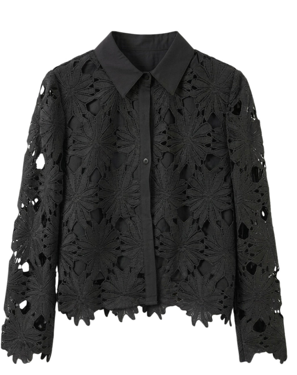 Chemise Alba - Dentelle guipure