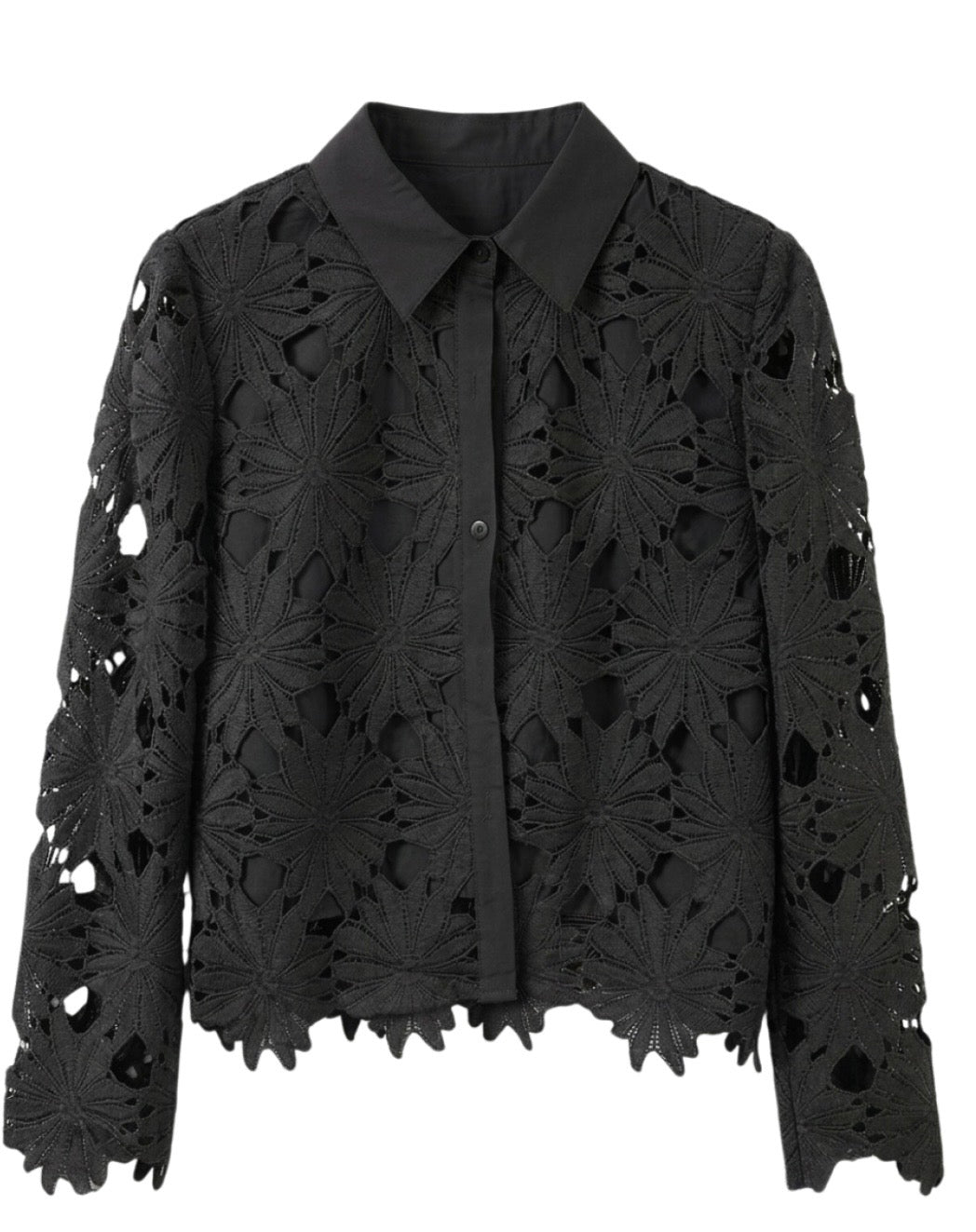 Chemise Alba - Dentelle guipure